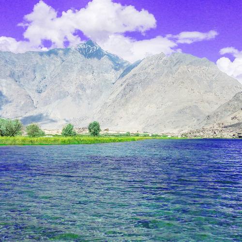 Photo #4426058