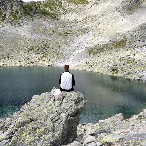 Photo #4426084