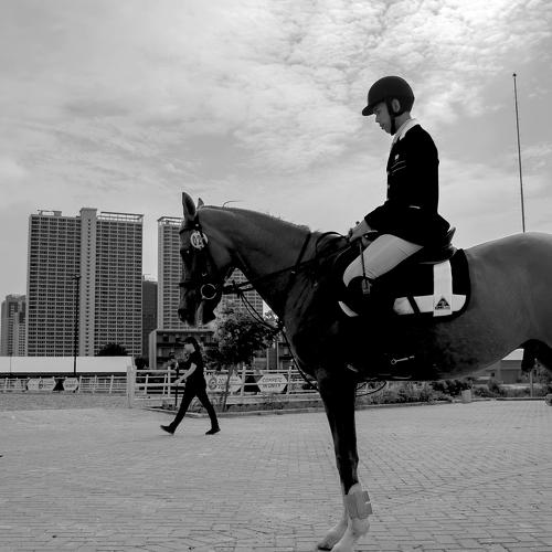 Horse glance up