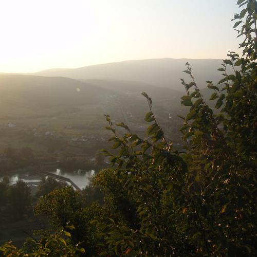 Photo #4426217