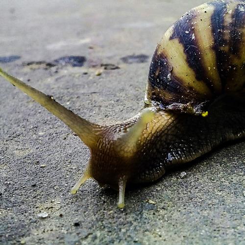 Photo #4426251