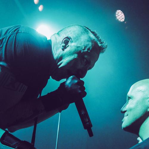 Photo #4426314