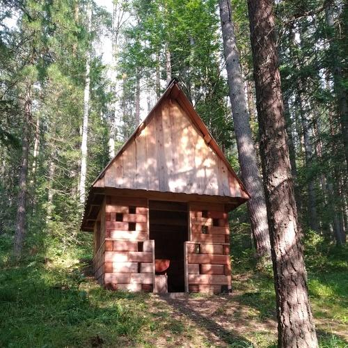 Photo #4426339