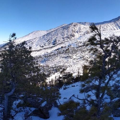 Photo #4426440