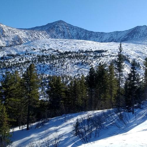 Photo #4426448