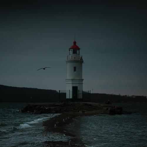 Photo #4426494