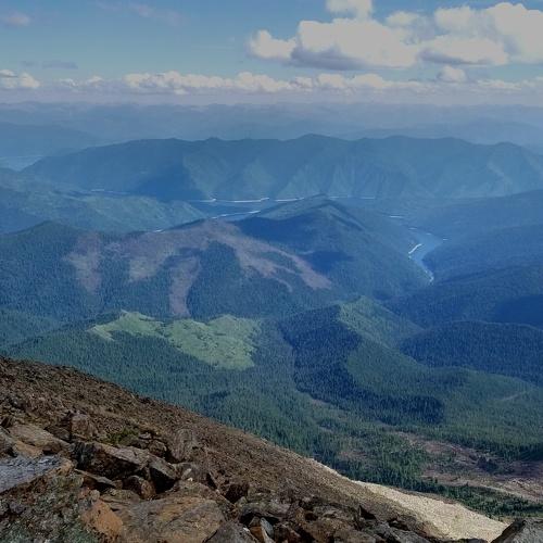 Photo #4426517