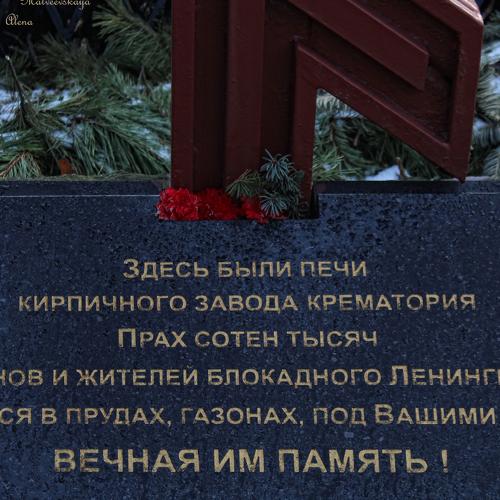 Photo #4426525