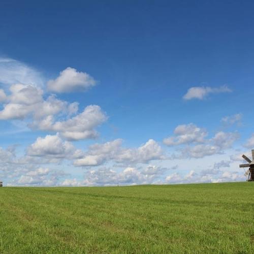 Photo #4426588