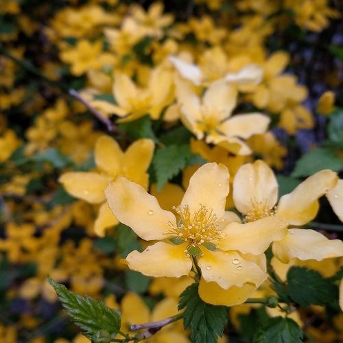 Photo #4426784