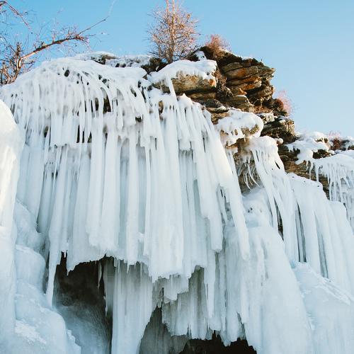 Photo #4426823