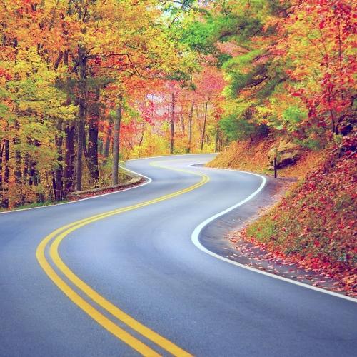 Photo #4426843