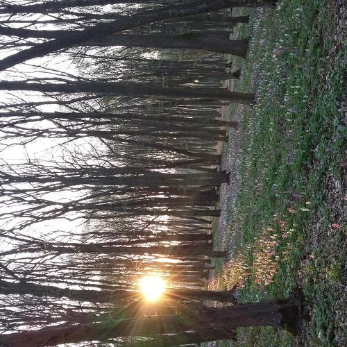 Photo #4426859