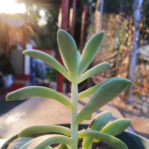 Photo #4426889