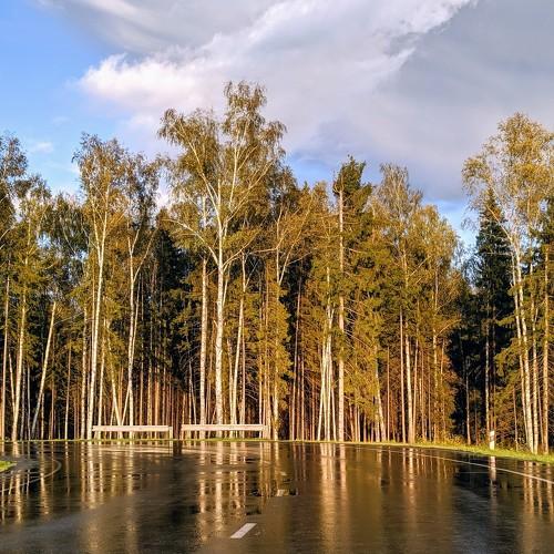 Photo #4427408