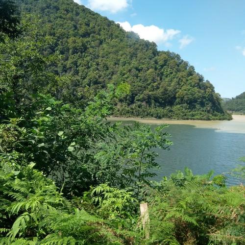 Photo #4427527