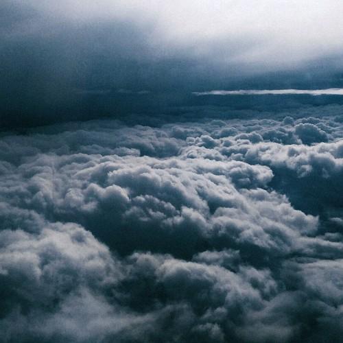 Photo #4427569