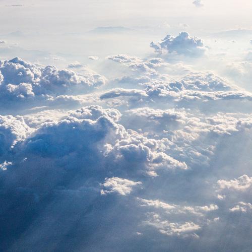 Fly in the sky