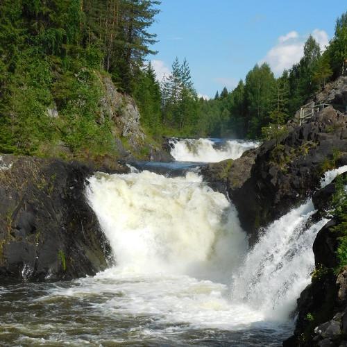 Photo #4427829