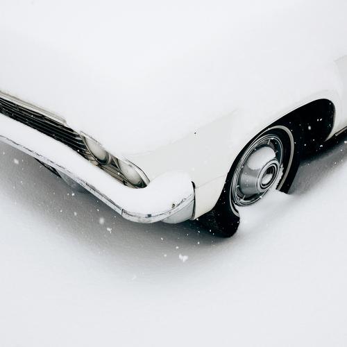 Photo #4427919