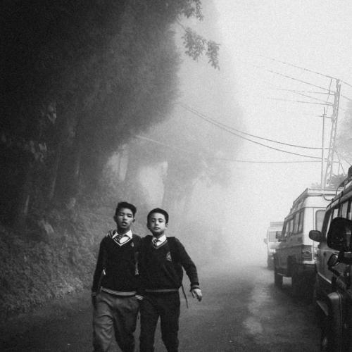 Friends in the hills.