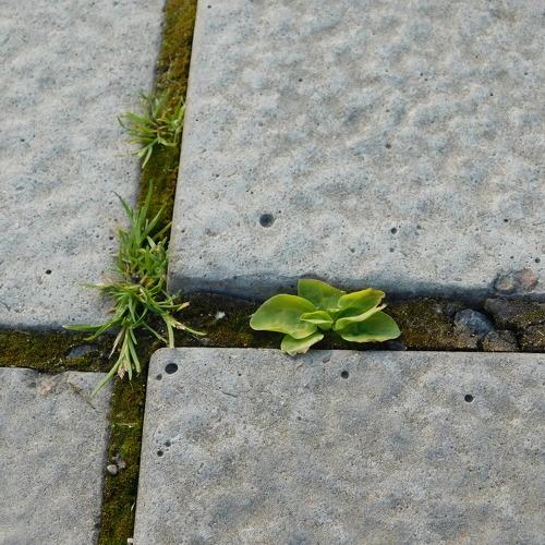 Photo #4428193