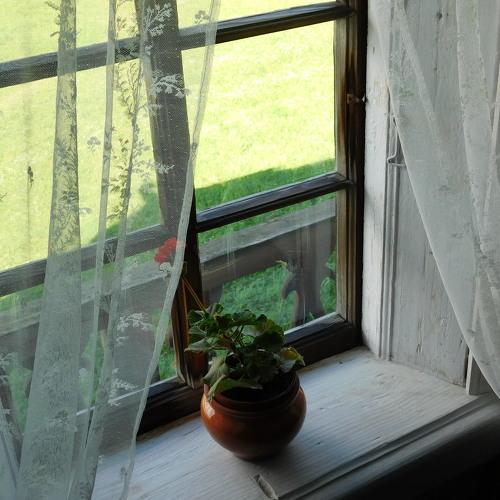 Photo #4428194