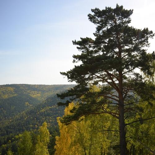 Photo #4428235