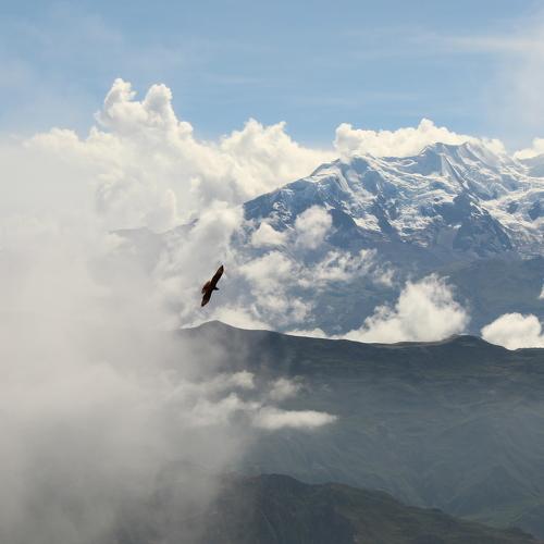 Photo #4428539