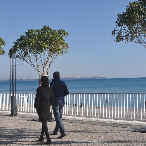 Photo #4428789