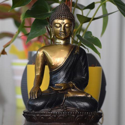 Photo #4429029