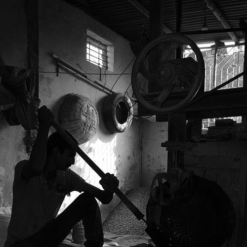 Peanut Makers 3