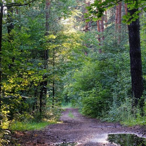 Photo #4430064