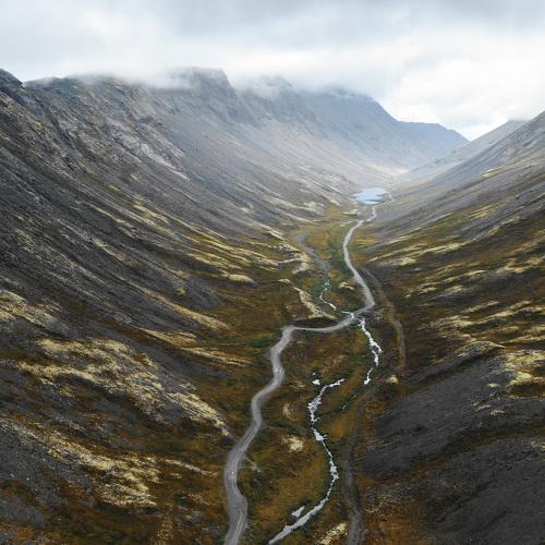 Photo #4430180
