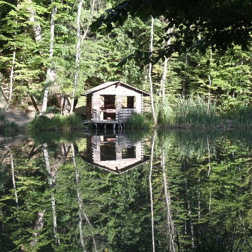 Photo #4430258