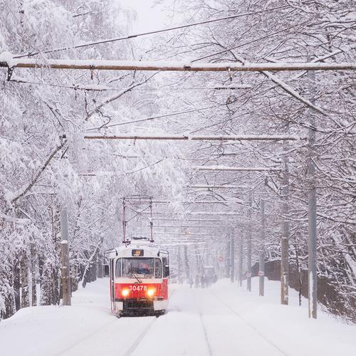 Photo #4430408
