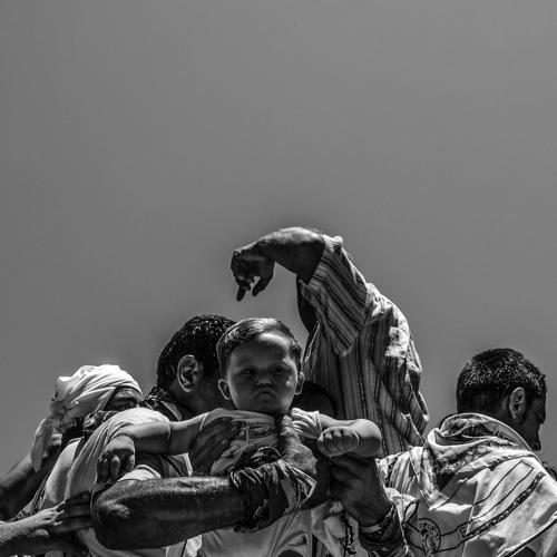 Photo #4430494