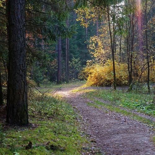 Photo #4430535
