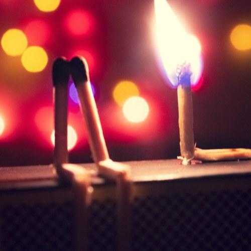 Photo #4430664