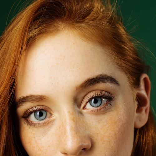 Photo #4430703