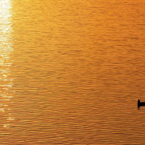 Photo #4430996