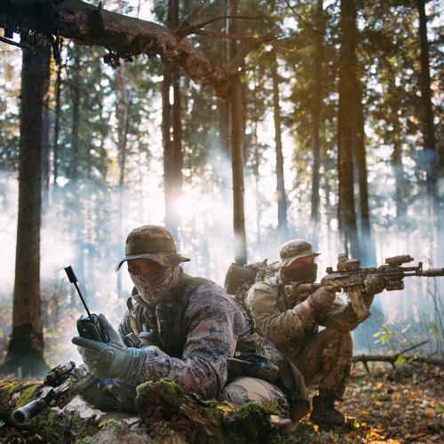 Photo #4431014