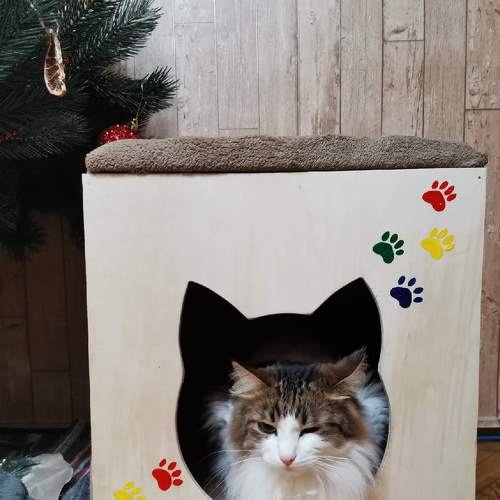 Photo #4431099