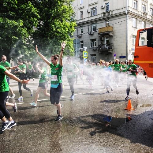Photo #4431324