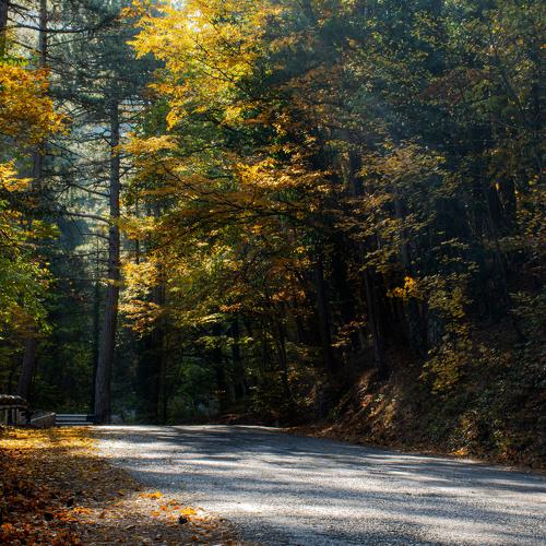 Photo #4431365