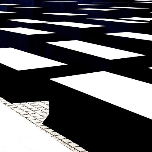 Photo #4431461