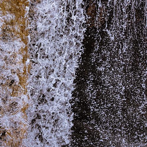 Photo #4431466