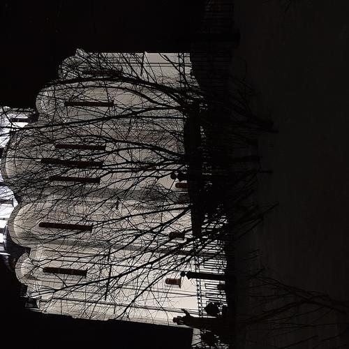 Photo #4431819