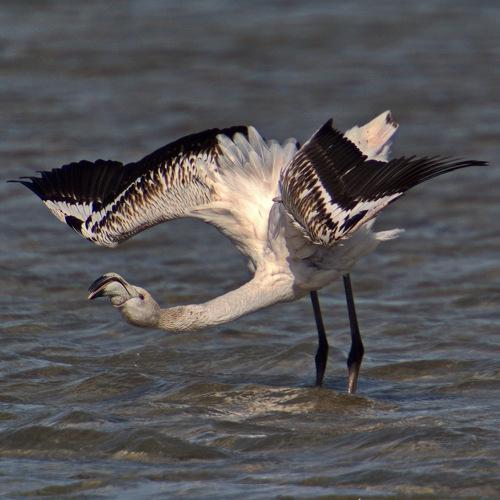 Поклон вам, севастопольцы!