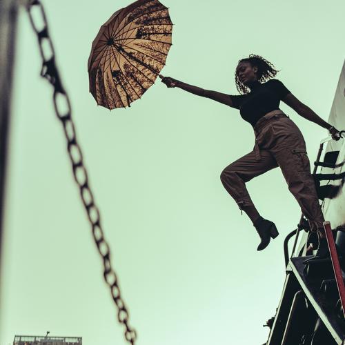 Photo #4432271